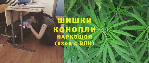 PSILOCYBIN Балахна